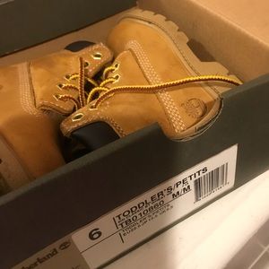 Toddlers Wheat Color size 6 Timberland boots